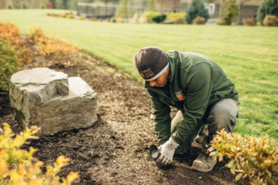 lanscape maintenace in kl