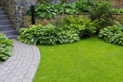 softscape for landscape in kl